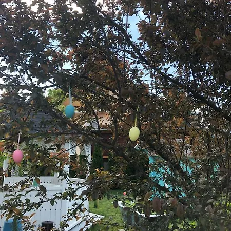 Levendula Apartman Apartman