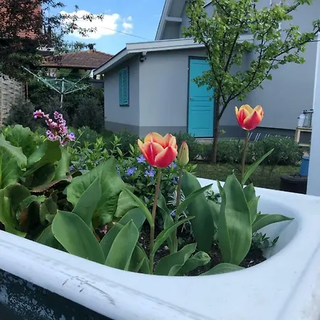 Levendula Apartman Gyenesdiás