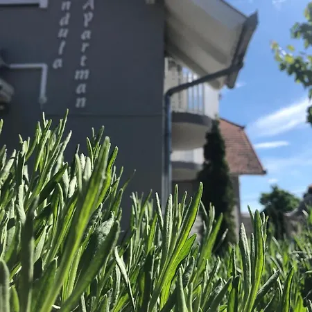 Levendula Apartman *
