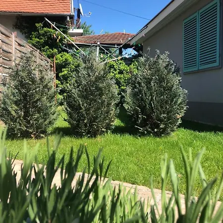 Levendula Apartman