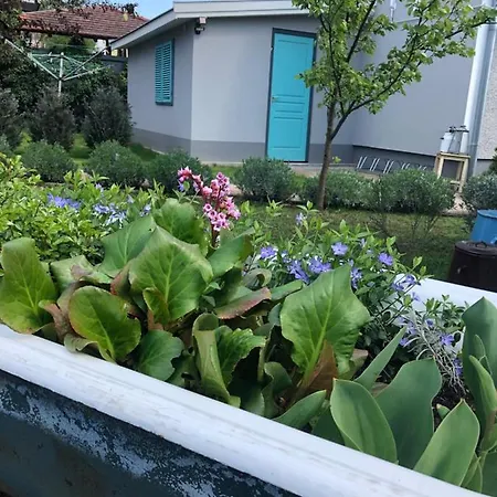Levendula Apartman * Gyenesdiás